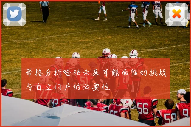 蒂格分析哈珀未来可能面临的挑战与自立门户的必要性