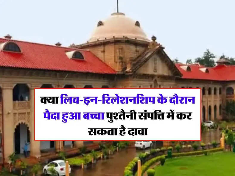 High Court : क्या लिव-इन-रिलेशनशिप के दौरान पैदा हुआ बच्चा पुश्तैनी संपत्ति में कर सकता है दावा