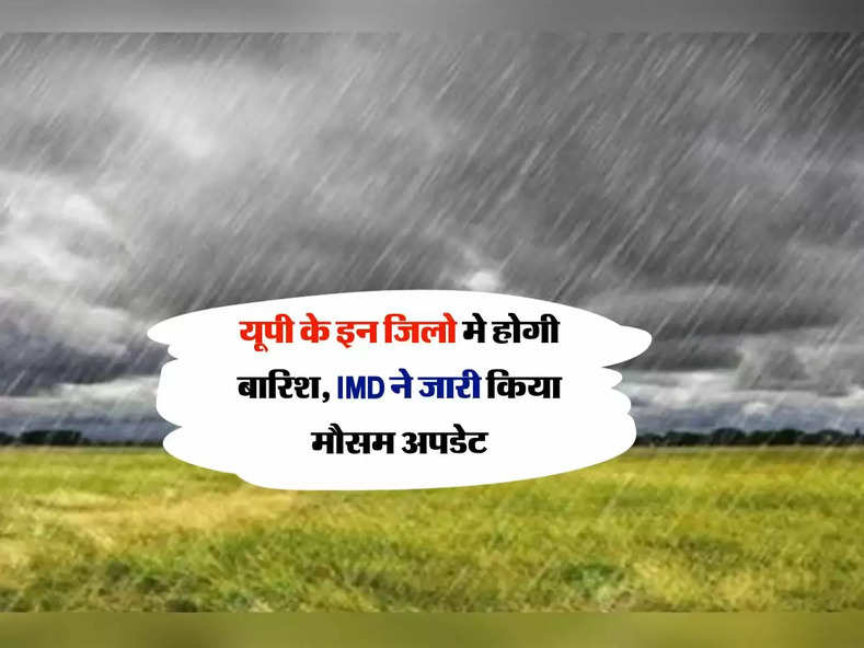 UP ka mausam : यूपी के इन जिलो मे होगी बारिश, IMD ने जारी किया मौसम अपडेट