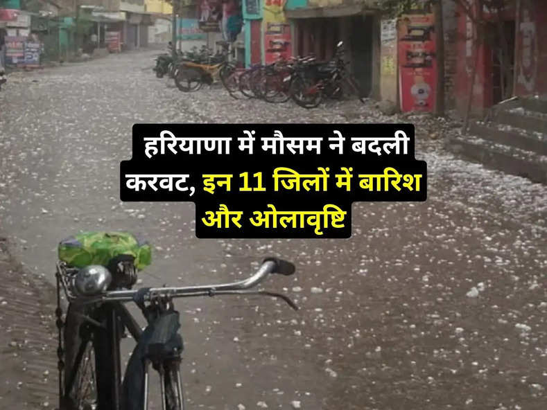 Haryana Mausam : हरियाणा में मौसम ने बदली करवट, इन 11 जिलों में बारिश और ओलावृष्टि, जानें मौसम विभाग का अपडेट