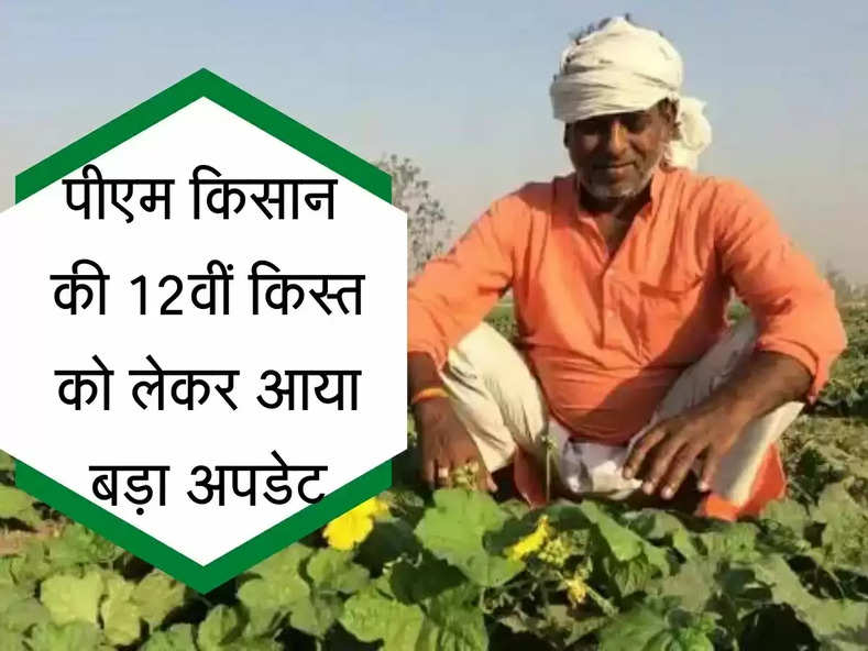 kisan