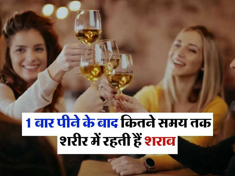 Alcohol Fact : 1 बार पीने के बाद कितने समय तक शरीर में रहती हैं शराब, पीने वालो को भी नहीं है इसकी जानकारी