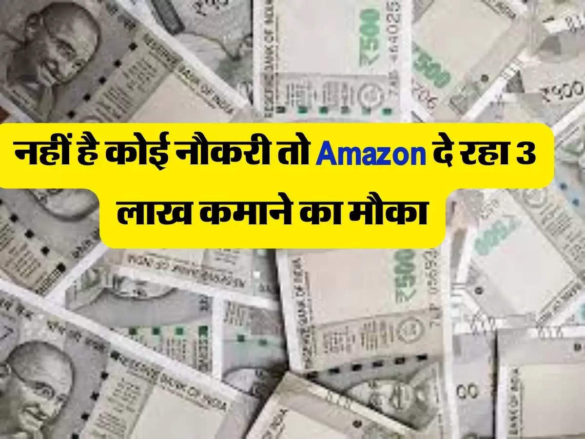 Business Ideas : नहीं है कोई नौकरी तो Amazon दे रहा 3 लाख कमाने का मौका
