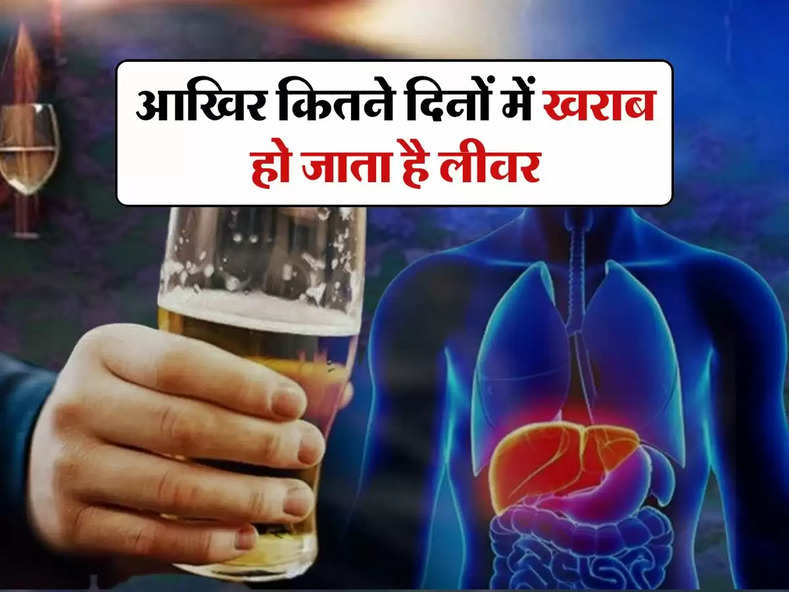 Wine Beer : आखिर कितने दिनों में खराब हो जाता है लीवर, रोजाना पीने वाले जान लें एक्सपर्ट की सलाह