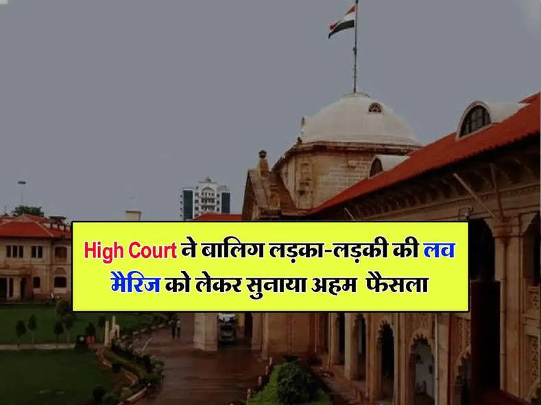 High Court ने बालिग लड़का-लड़की की लव मैरिज को लेकर सुनाया अहम  फैसला, जान ले आप भी 