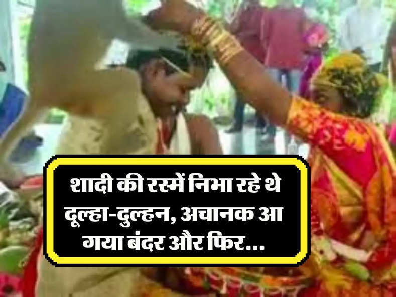  Shadi Ka Video Viral : शादी की रस्में निभा रहे थे दूल्हा-दुल्हन, अचानक आ गया बंदर और फिर...