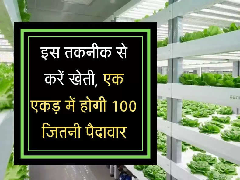 Tomato Farming : ऐसे उगाए टमाटर का पौधा, अपने घर के fridge में रखे टमाटर से करें खेती शुरू