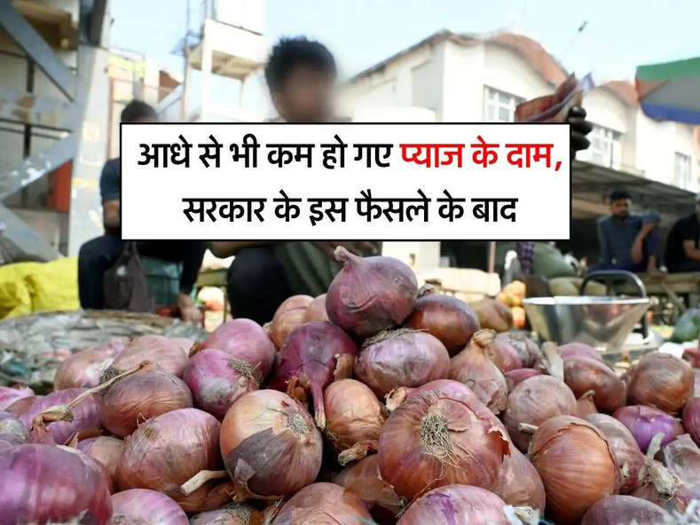 Onion Price Today : आधे से भी कम हो गए प्याज के दाम, सरकार के इस फैसले के बा