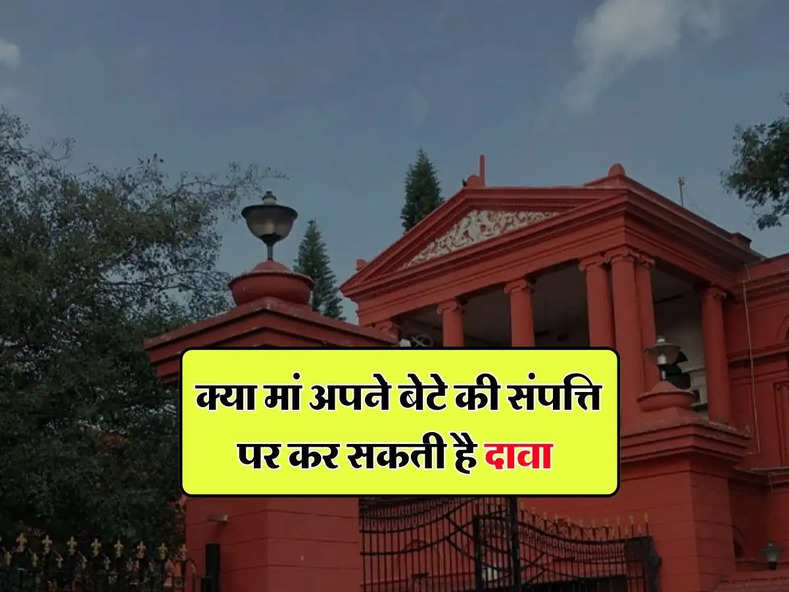 High Court : क्या मां अपने बेटे की संपत्ति पर कर सकती है दावा, जानिए हाईकोर्ट का फैसला