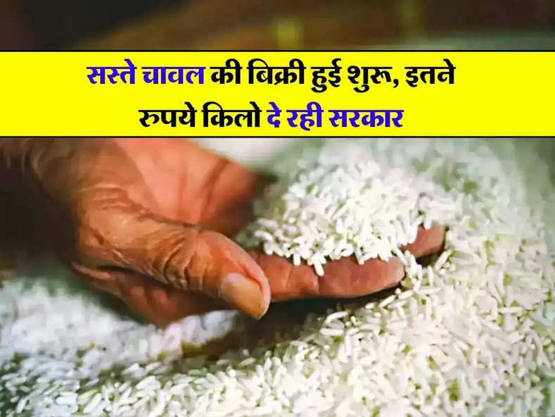 Bharat Rice Price : सस्ते चावल की बिक्री हुई शुरू, इतने रुपये किलो दे रही सरकार, जानिए कहां से खरीद सकते हैं