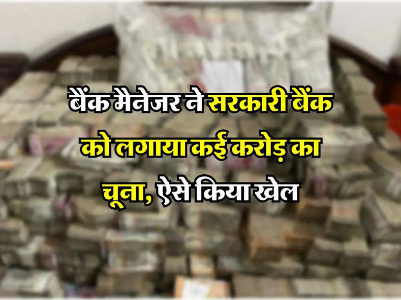 Government Banks : बैंक मैनेजर ने सरकारी बैंक को लगाया कई करोड़ का चूना, ऐसे किया खेल