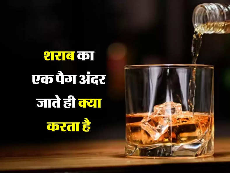 Wine Beer : शराब का एक पैग अंदर जाते ही क्या करता है, पीने वाले जान लें ये बात