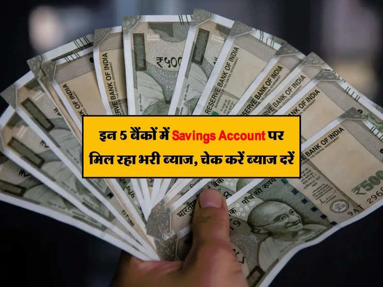 Savings Account : इन 5 बैंकों में Savings Account पर मिल रहा भरी ब्याज, चेक करें ब्याज दरें