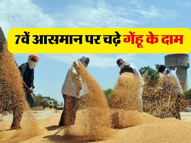 Wheat New Price: 7वें आसमान पर चढ़े गेंहू के दाम, जानिए नऐ रेट