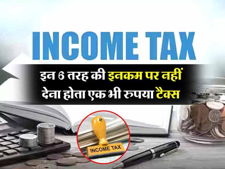 Income Tax Free Income : इन 6 तरह की इनकम पर नहीं देना होता एक भी रुपया टैक्स, जान लें इनकम टैक्स के नियम