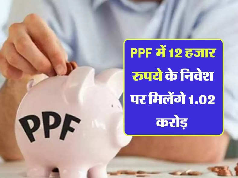 PPF में 12 हजार रुपये के निवेश पर मिलेंगे 1.02 करोड़, समझ ले पूरी कैलकुलेशन