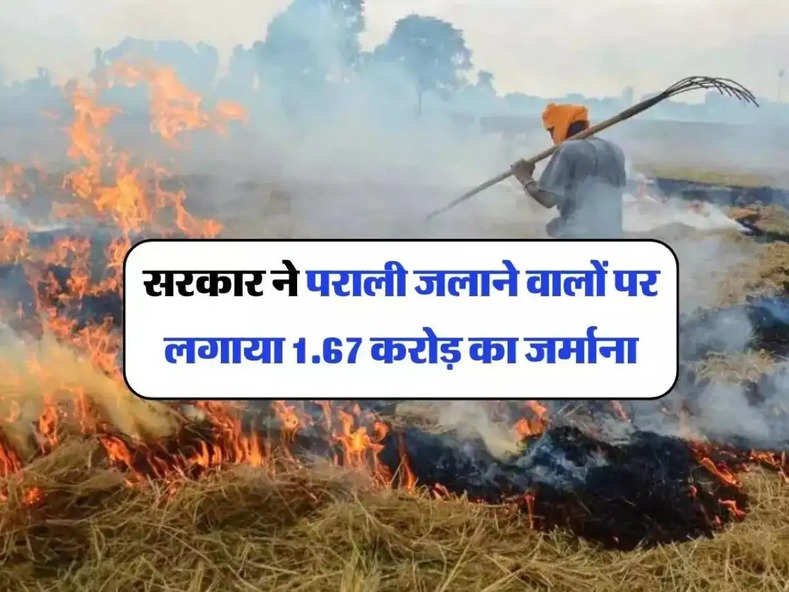 Delhi NCR News : सरकार ने पराली जलाने वालों पर लगाया 1.67 करोड़ का जर्माना