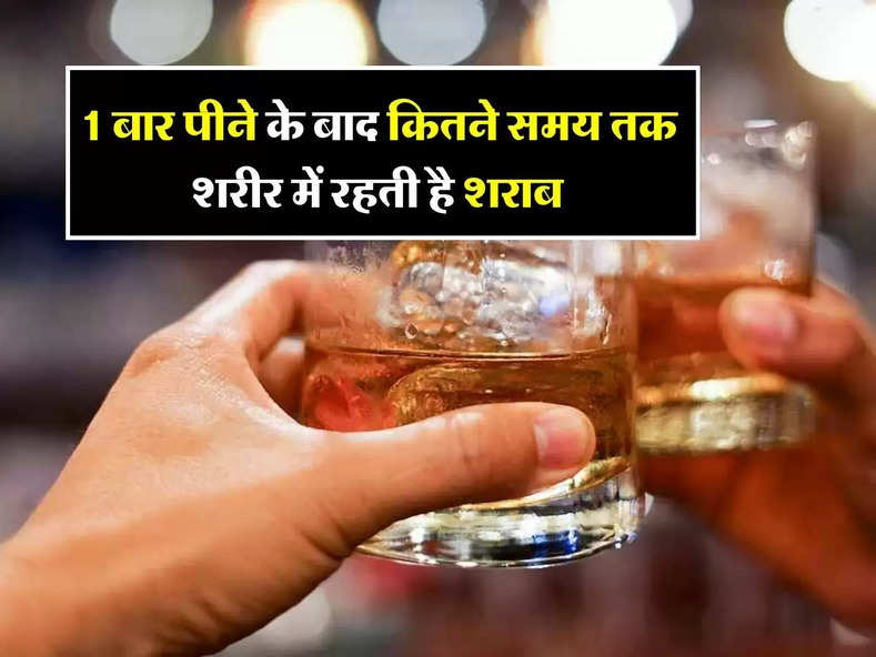 Alcohol Fact : 1 बार पीने के बाद कितने समय तक शरीर में रहती है शराब, ऐसे करें पता 