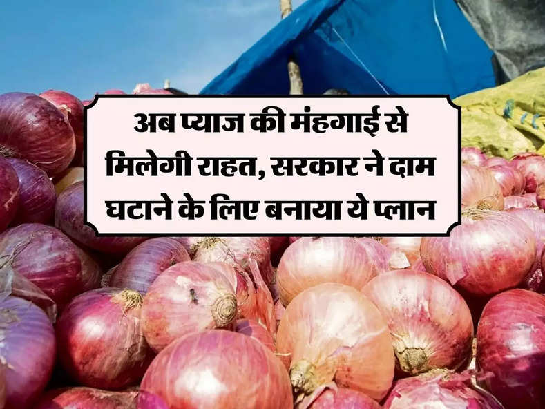 Onion Price: अब प्याज की मंहगाई से मिलेगी राहत, सरकार ने दाम घटाने के लिए बनाया ये प्लान