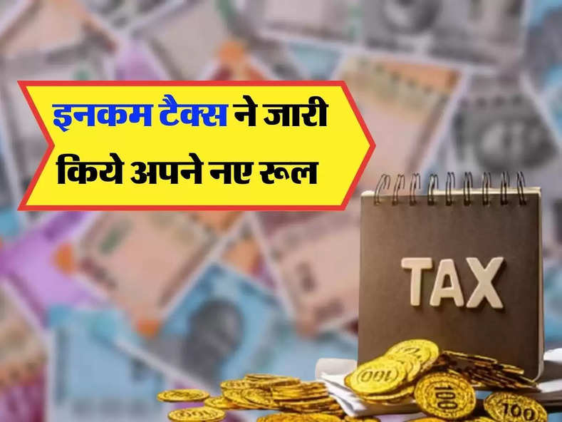 Income Tax New Rule : इनकम टैक्स ने जारी किये अपने नए रूल,अब हर महीने देना होगा इतना कर !