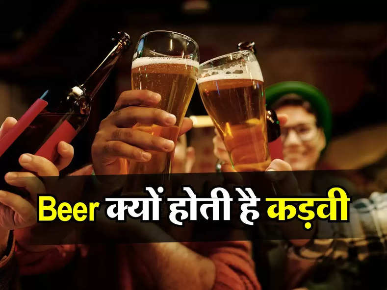 Beer क्यों होती है कड़वी, डेली पीने वाले भी नहीं हैं इसकी जानकारी