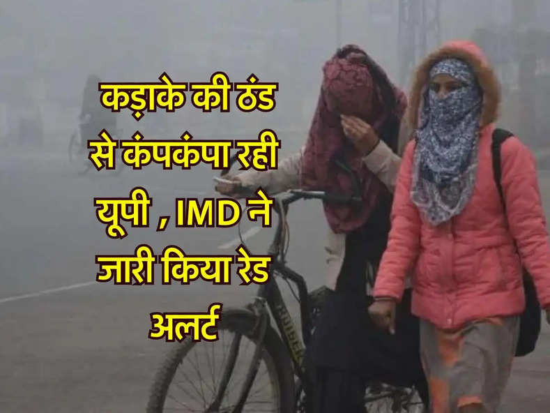 UP Weather : कड़ाके की ठंड से कंपकंपा रही यूपी, IMD ने जारी किया रेड अलर्ट