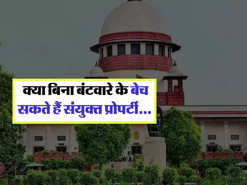 Joint Property : क्या बिना बंटवारे के बेच सकते हैं संयुक्त प्रोपर्टी, हाईकोर्ट ने दिया फैसला