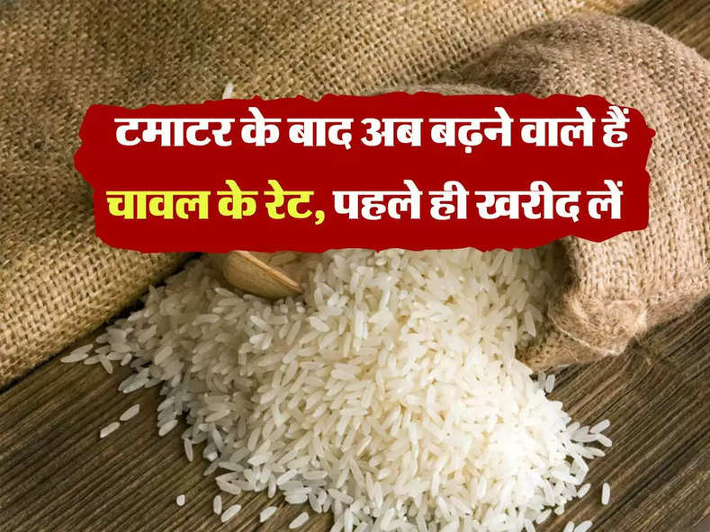 Rice Price : टमाटर के बाद अब बढ़ने वाले हैं चावल के रेट, पहले ही खरीद लें