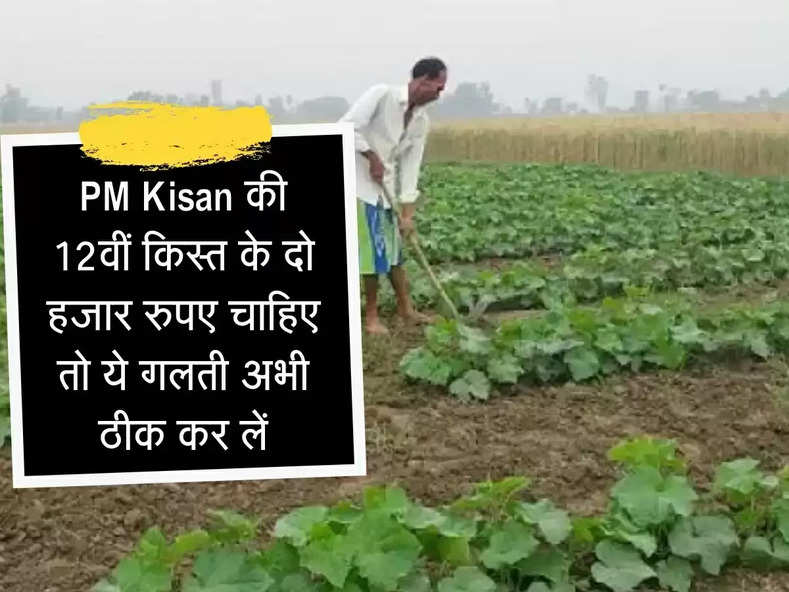 PM Kisan योजना की 12वीं किस्त का है इंतजार, दो हजार रुपए चाहिए तो ये गलती हुई है तो ठीक कर लें