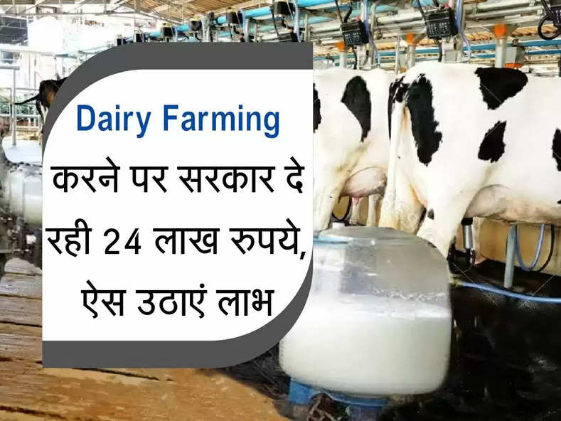 Dairy Farming