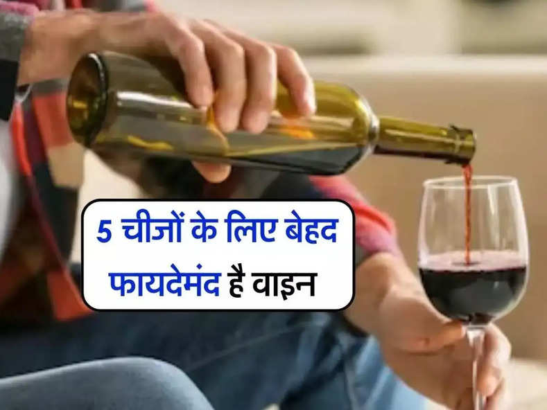 Wine : 5 चीजों के लिए बेहद फायदेमंद है वाइन, ये है पीने की सही लिमिट