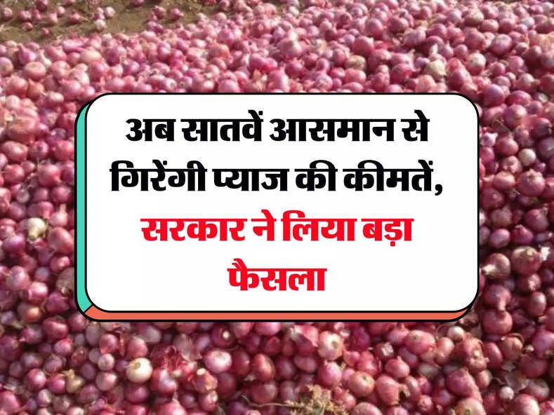 Onion Price Today : अब सातवें आसमान से गिरेंगी प्याज की कीमतें, सरकार ने लिया बड़ा फैसला