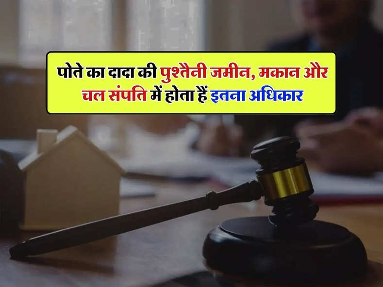 Property rights : पोते का दादा की पुश्तैनी जमीन, मकान और चल संपति में होता हैं इतना अधिकार, जाने क्या कहता हैं कानून