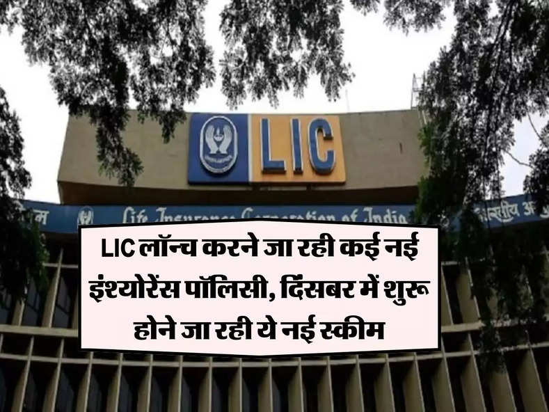 LIC लॉन्च करने जा रही कई नई इंश्योरेंस पॉलिसी, दिंसबर में शुरू होने जा रही ये नई स्कीम, जानें पुरी डिटेल