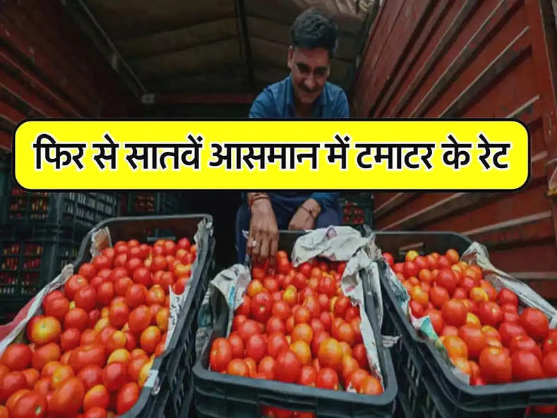 Tomato Prices in Delhi : फिर से सातवें आसमान में टमाटर के रेट, दिल्ली वाले जान लें आज के सब्जी मंडी के भाव