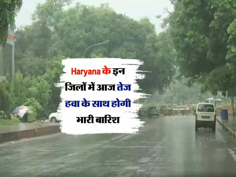 Haryana के इन जिलों में आज तेज हवा के साथ होगी भारी बारिश, मौसम विभाग ने दी चेतावनी