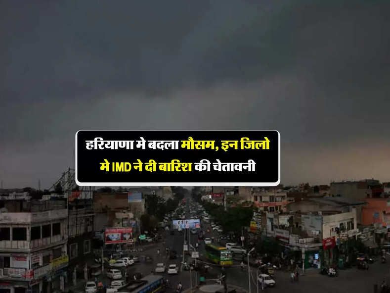 Haryana Weather Today : हरियाणा मे बदला मौसम, इन जिलो मे IMD ने  दी बारिश की चेतावनी